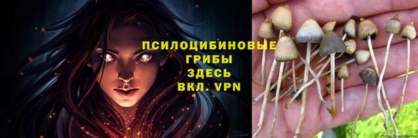 сатива Весьегонск
