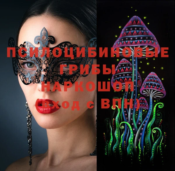 гидра Воткинск