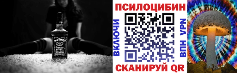 Псилоцибиновые грибы Psilocybine cubensis  Барабинск 