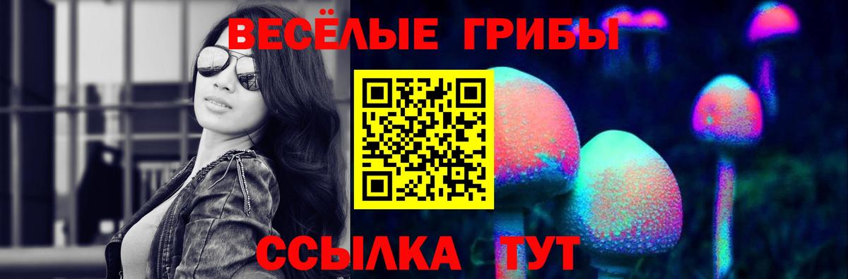 Галлюциногенные грибы мицелий  Барабинск 